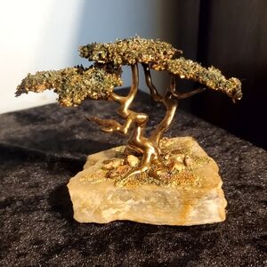 Lone Cypress by Rob Holt